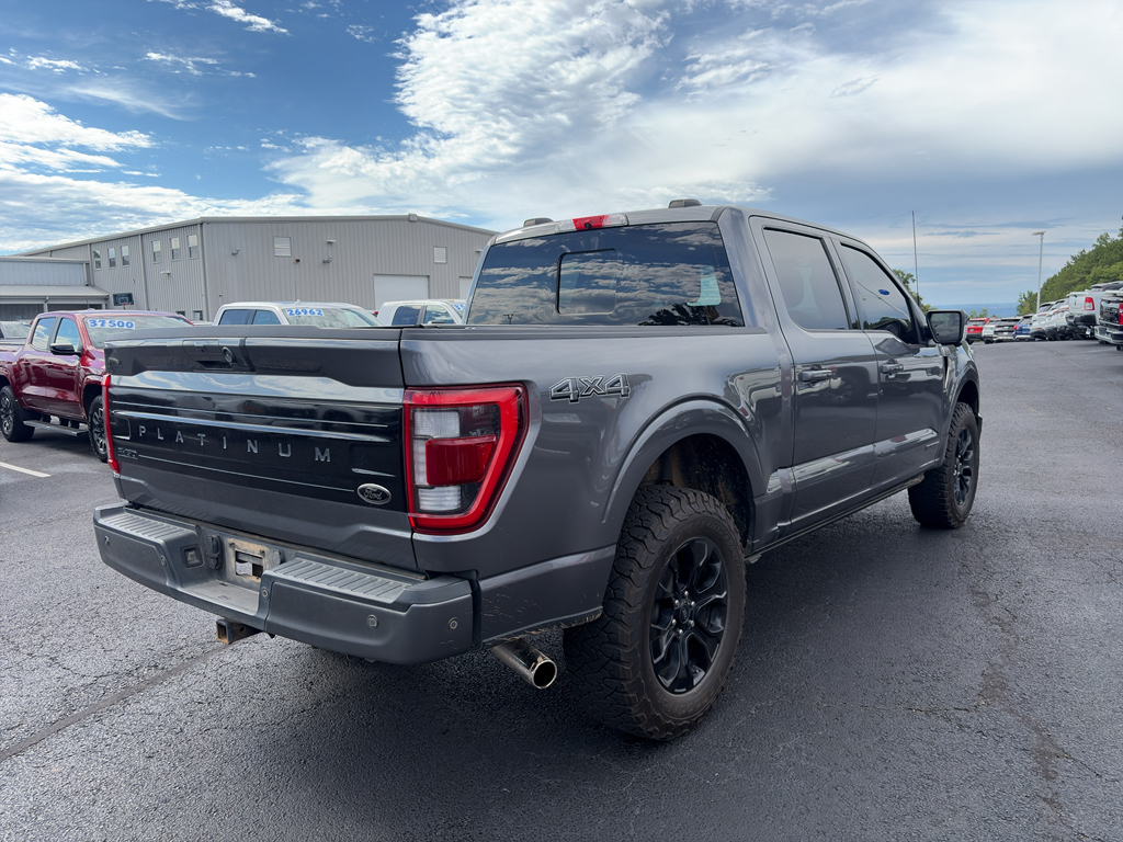 2022 Ford F-150 Platinum photo 5