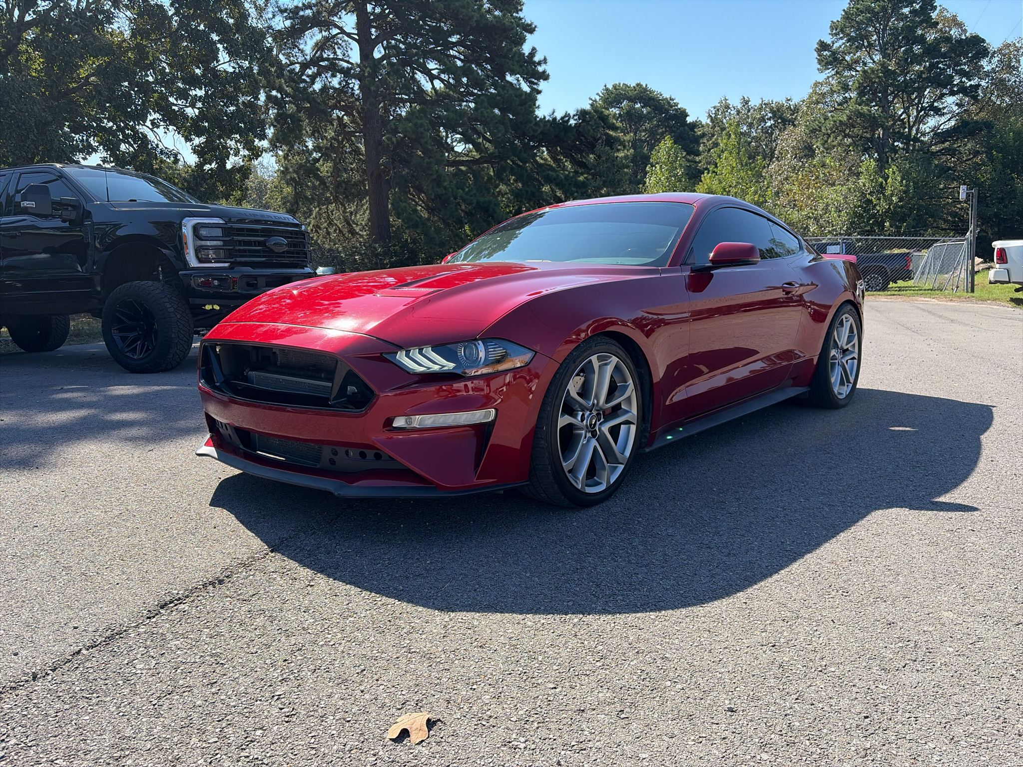 2019 Ford Mustang GT Premium photo 1