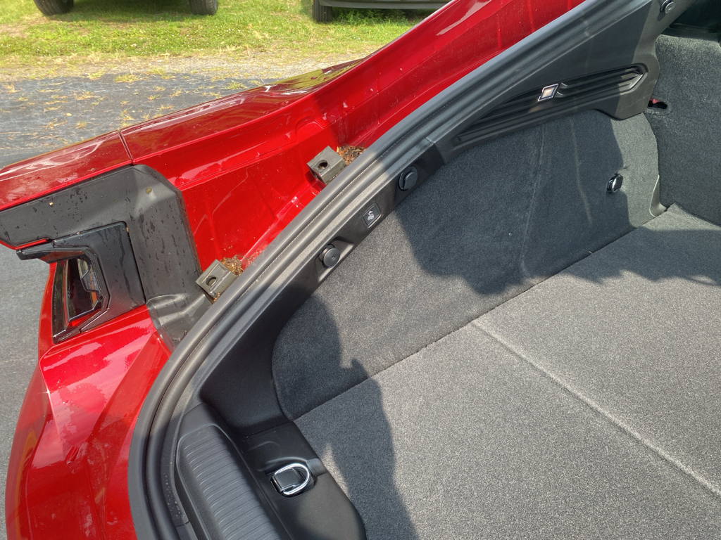 2026 Dodge Charger representative vehicle photo