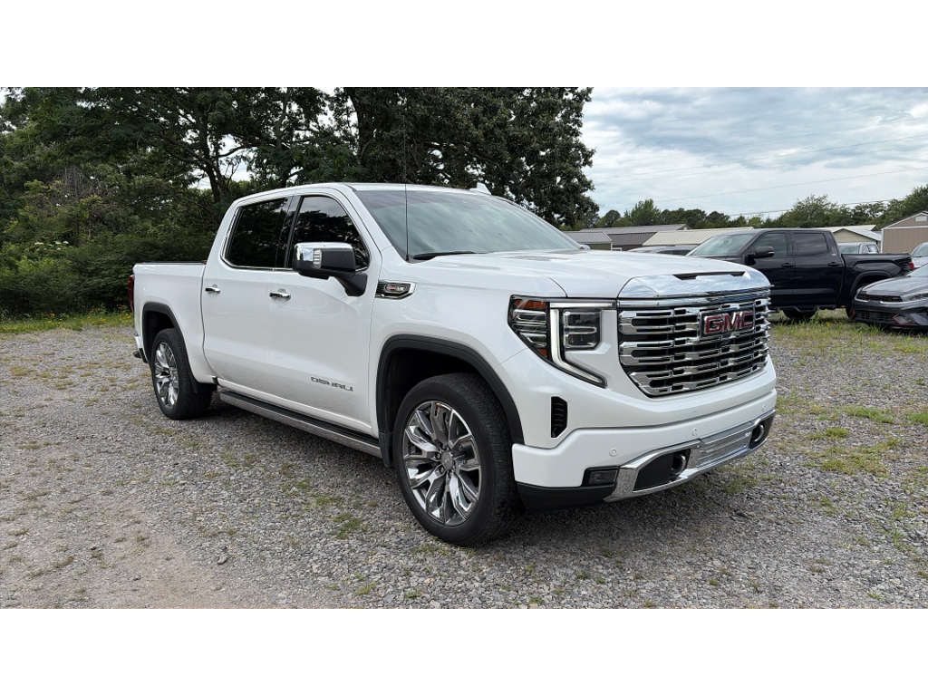 2023 GMC Sierra Denali photo 2