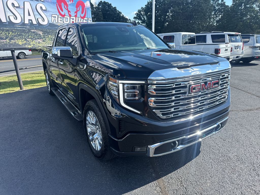 2025 GMC Sierra Denali photo 3