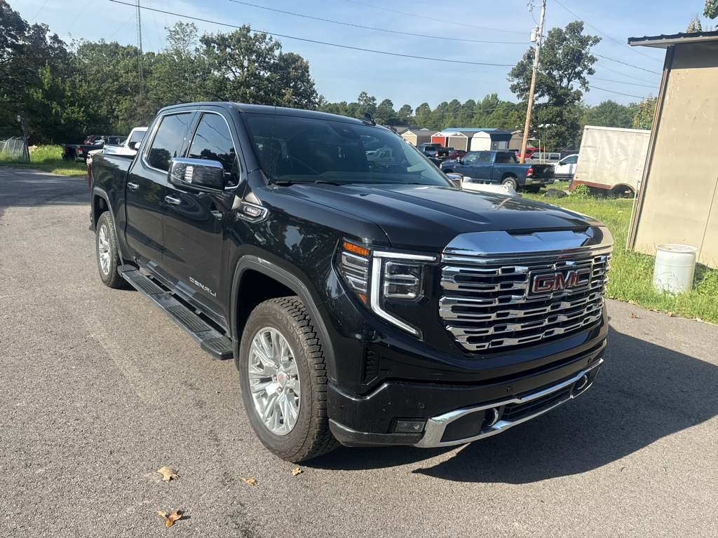 2025 GMC Sierra Denali photo 2