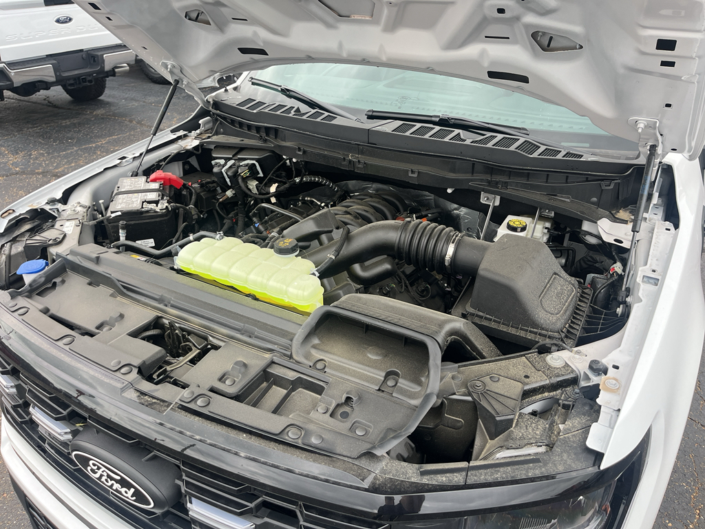 2026 Ford F-150 representative vehicle photo