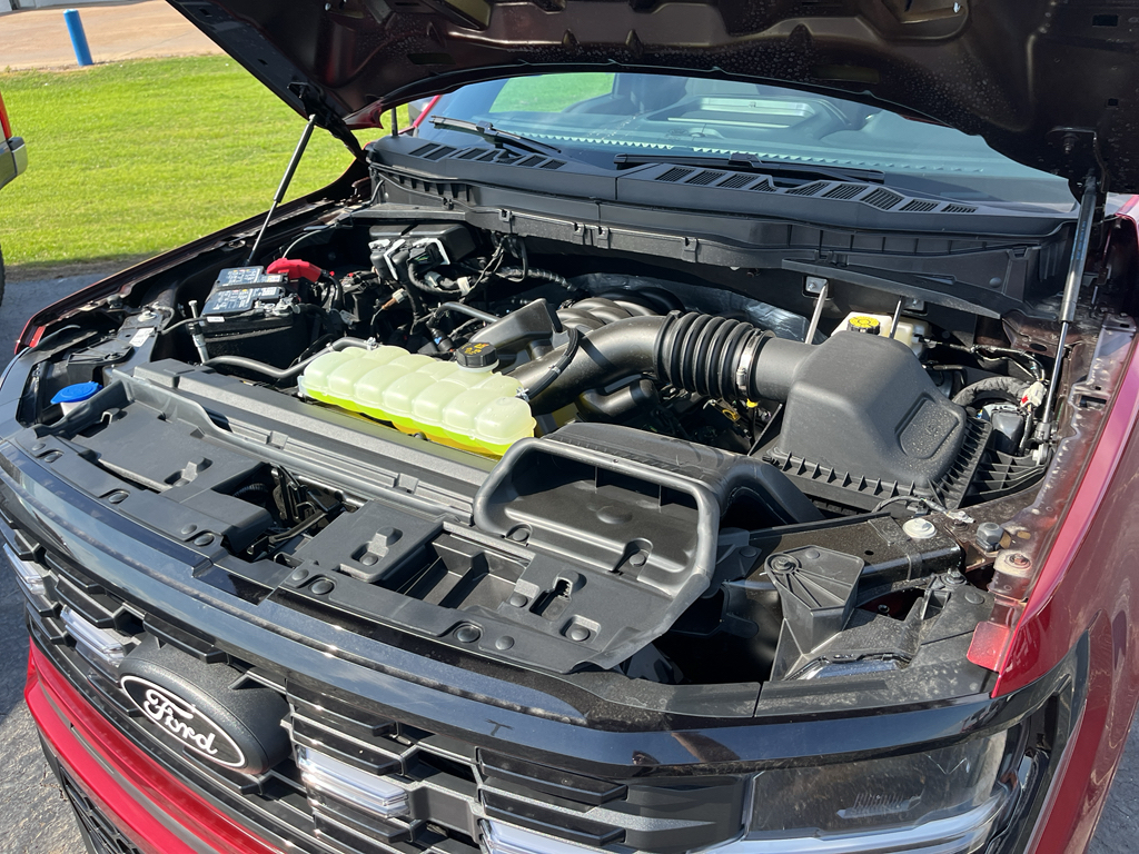 2026 Ford F-150 representative vehicle photo