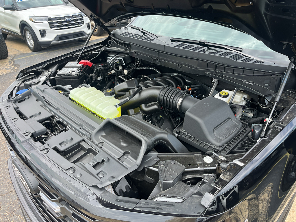 2026 Ford F-150 representative vehicle photo
