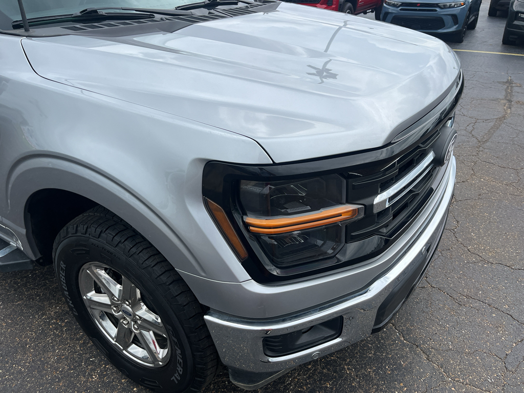 2024 Ford F-150 representative vehicle photo