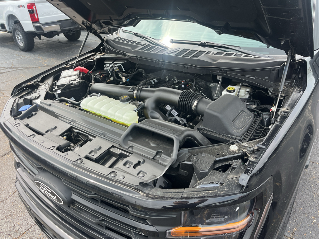2026 Ford F-150 representative vehicle photo