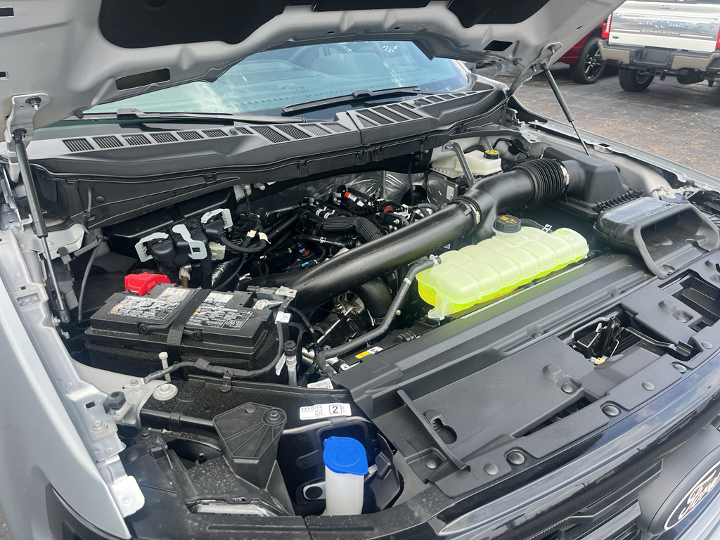 2026 Ford F-150 representative vehicle photo