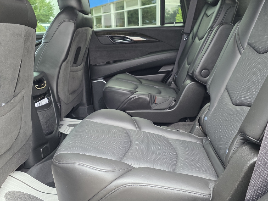2020 Cadillac Escalade Platinum - Black Raven exterior view 18