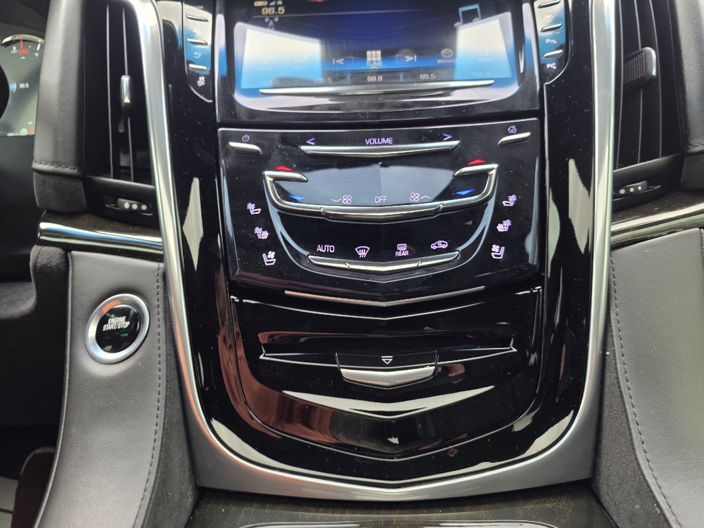 2020 Cadillac Escalade Platinum - Black Raven exterior view 12