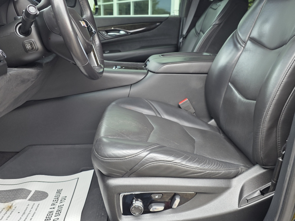 2020 Cadillac Escalade Platinum - Black Raven exterior view 17
