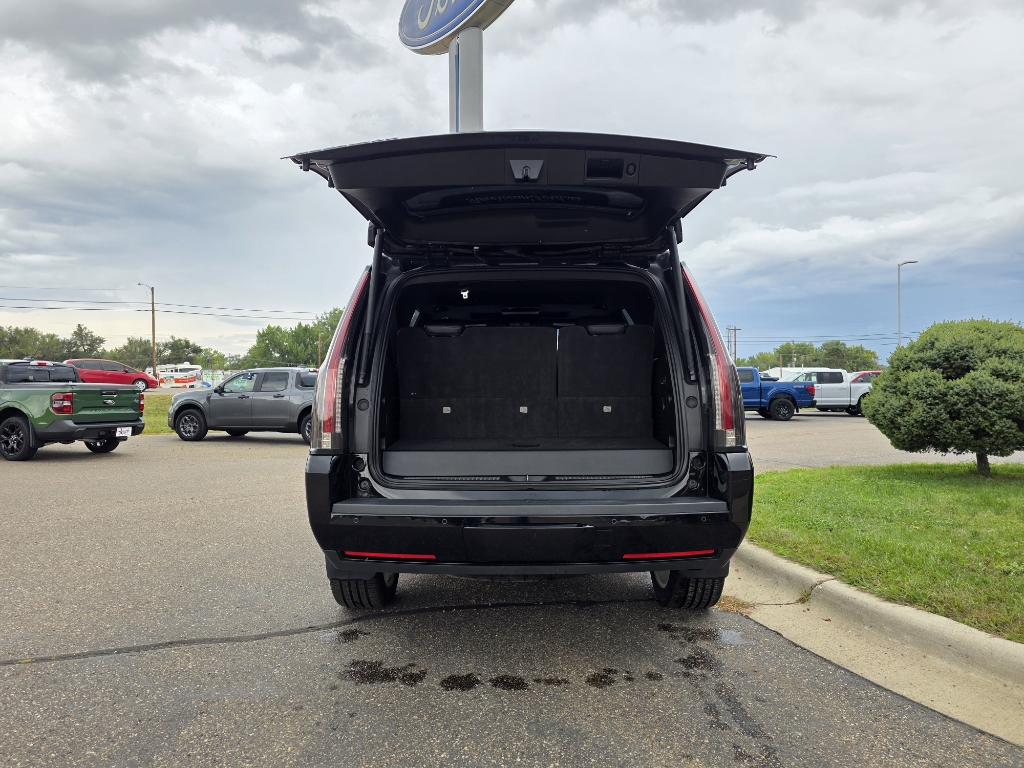 2020 Cadillac Escalade Platinum - Black Raven exterior view 8