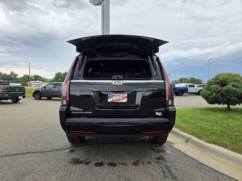 2020 Cadillac Escalade Platinum - Black Raven exterior view 7