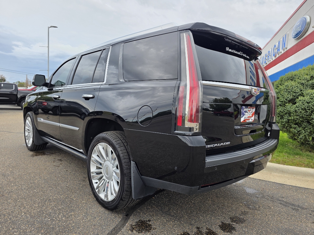 2020 Cadillac Escalade Platinum - Black Raven exterior view 6