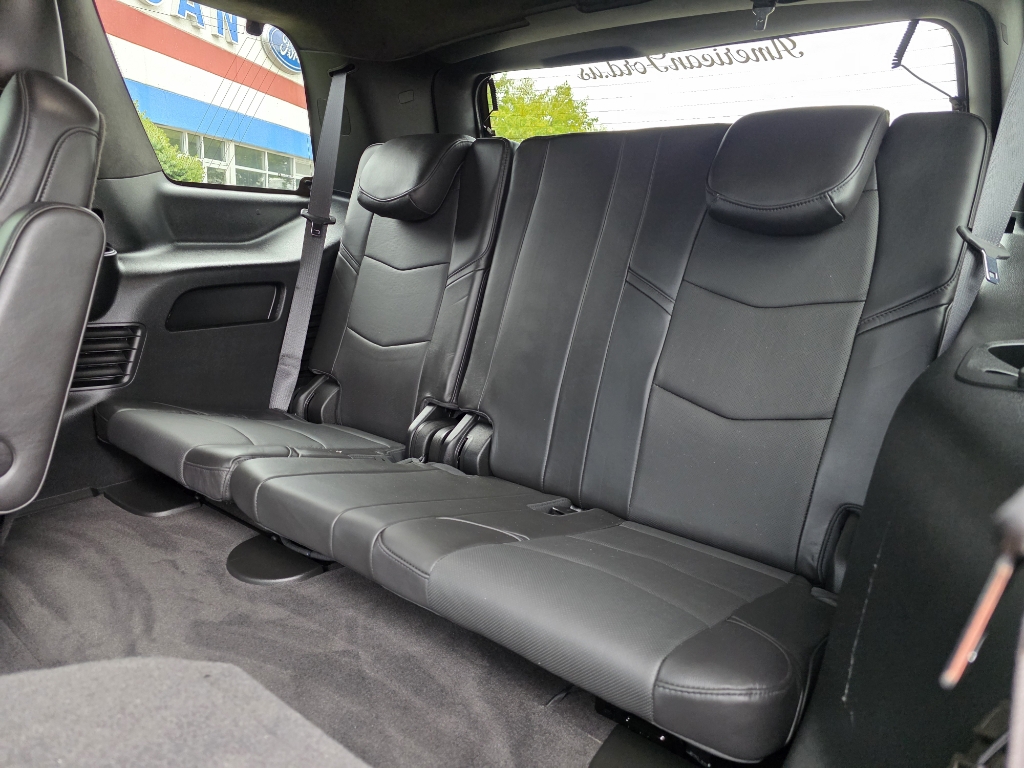 2020 Cadillac Escalade Platinum - Black Raven exterior view 19