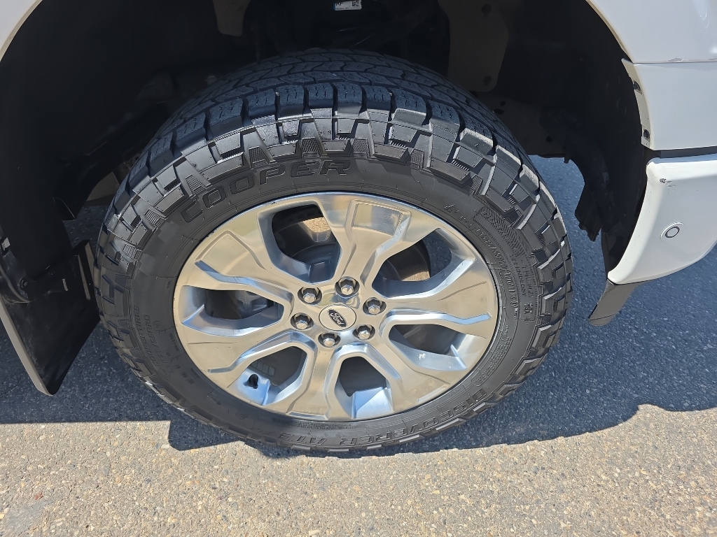 2022 Ford F-150 Platinum - Star White Metallic Tri-Coat exterior view 10