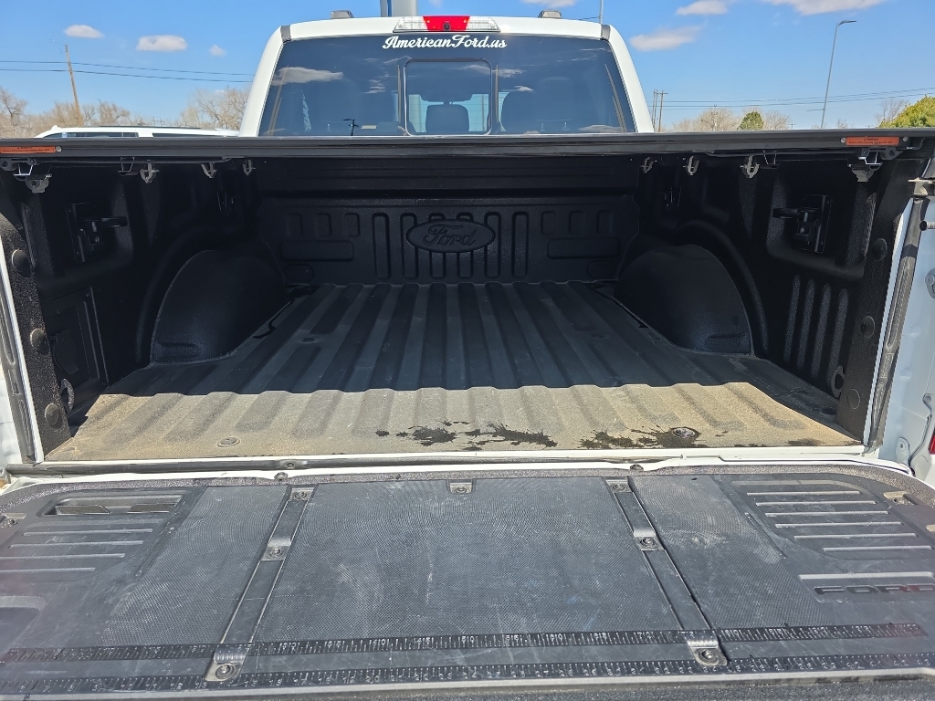 2022 Ford F-150 Platinum - Star White Metallic Tri-Coat exterior view 6