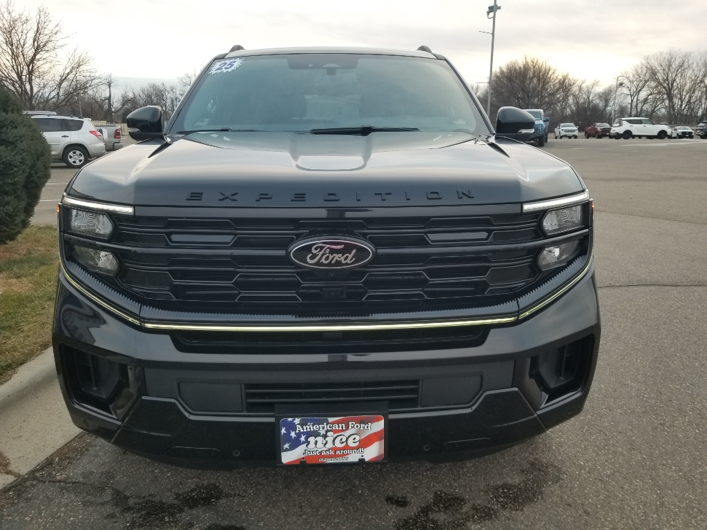 2025 Ford Expedition MAX Platinum - Agate Black Metallic exterior view 2