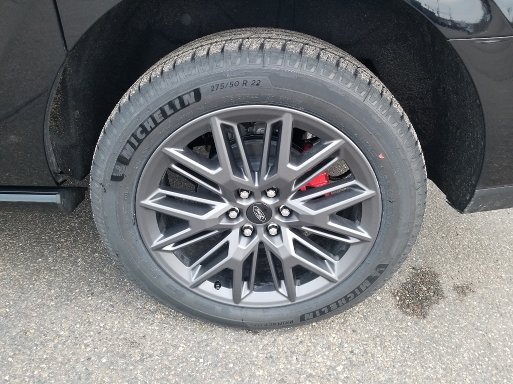 2025 Ford Expedition MAX Platinum - Agate Black Metallic exterior view 9