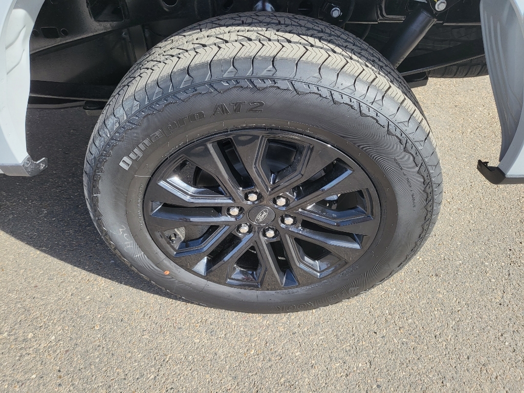 2026 Ford F-150 LARIAT - AVALANCHE exterior view 10