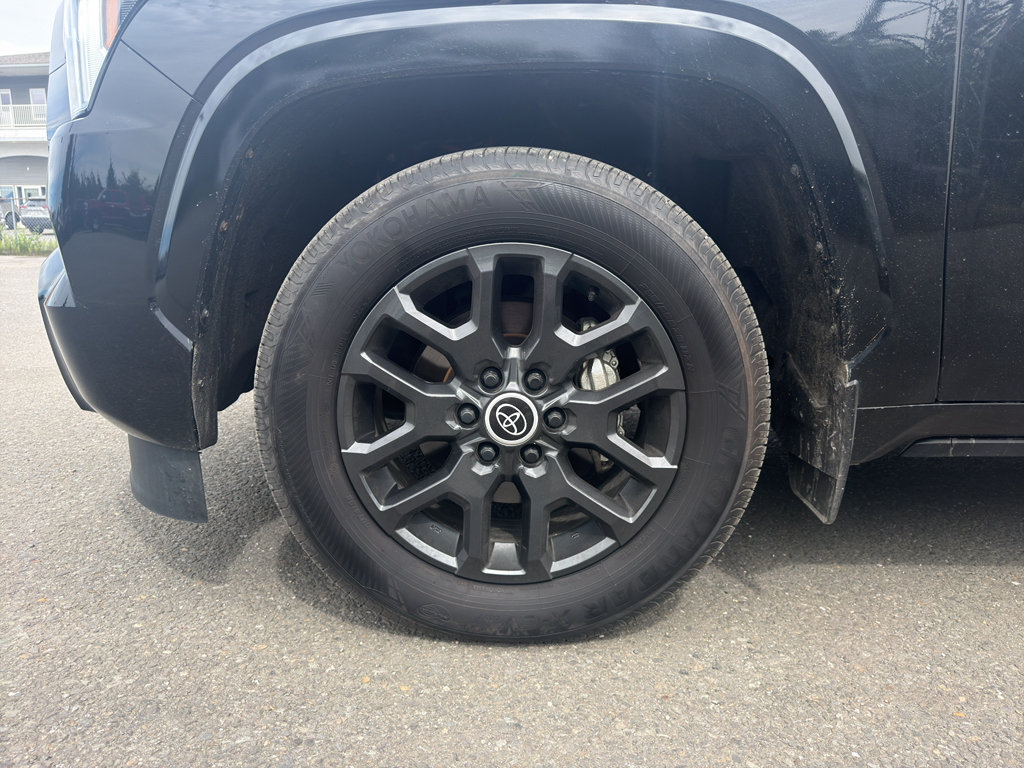 2024 Toyota Sequoia Platinum - Photo 9