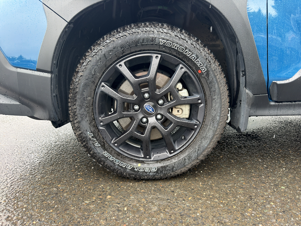 Used 2025 Subaru Crosstrek SUV