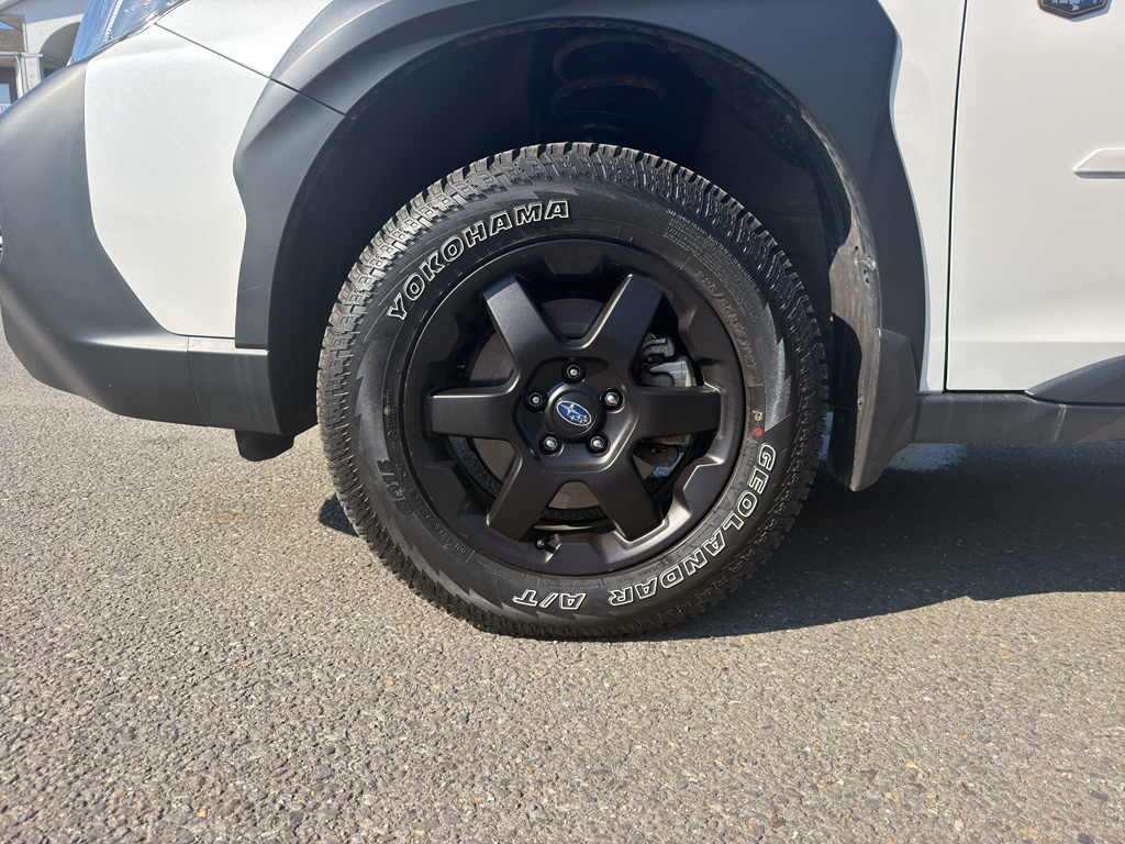 Used 2025 Subaru Outback SUV