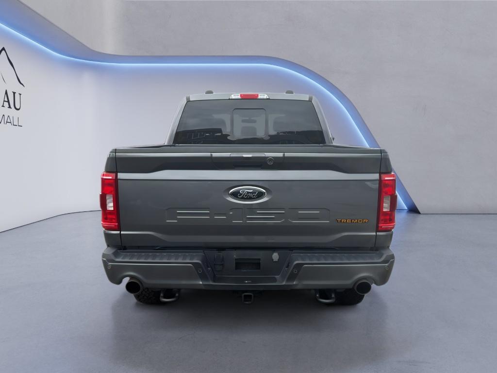 Used 2023 Ford F-150 Truck